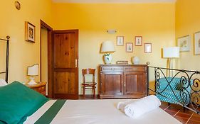 Agriturismo La Torre dell'Oliveto